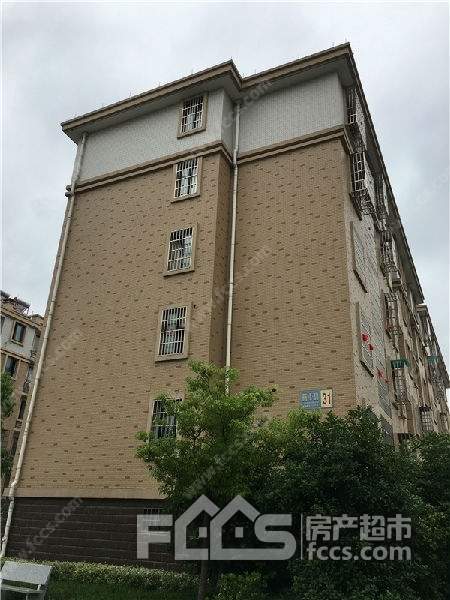 丽苑小区