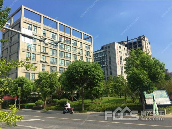 「嘉兴总部商务花园」科技城国际中港城附近自由分割出租3000元/月