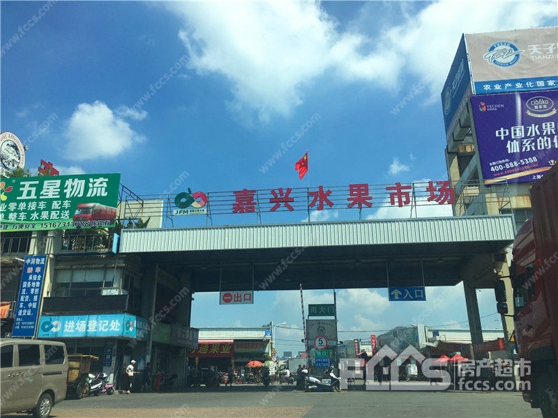 水果批发市场实景图-水果批发市场实景效果-「嘉兴