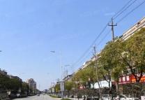 逾桥中路的租房信息图片